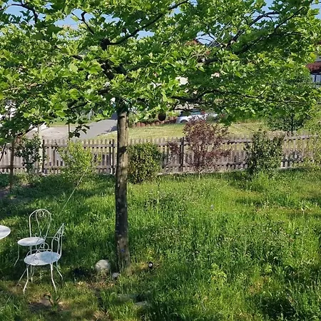 Hoher Hirschen: Historic Tudor House With Stylish And Museum Bodman-Ludwigshafen